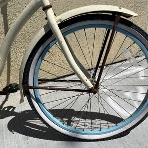 2015 Freedom Woman’s cruiser