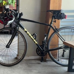 2021 Trek Domane Al 2 Black and Yellow or Gold