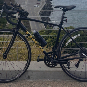 2021 Trek Domane Al 2 Black and Yellow or Gold