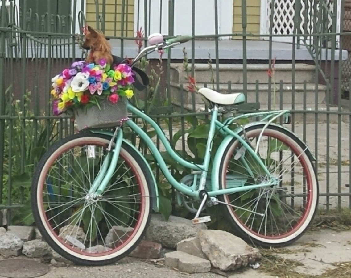 Bike photo