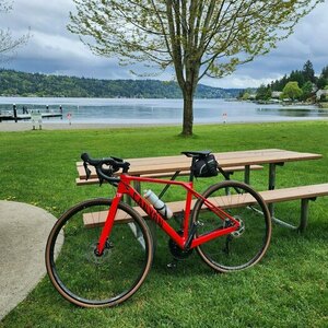2022 Canyon bicycles Endurace cf 7 Disc Red