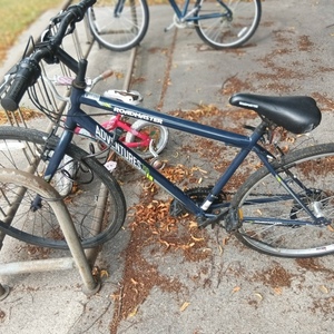 Roadmaster Adventures 700 Blue