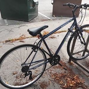 Roadmaster Adventures 700 Blue