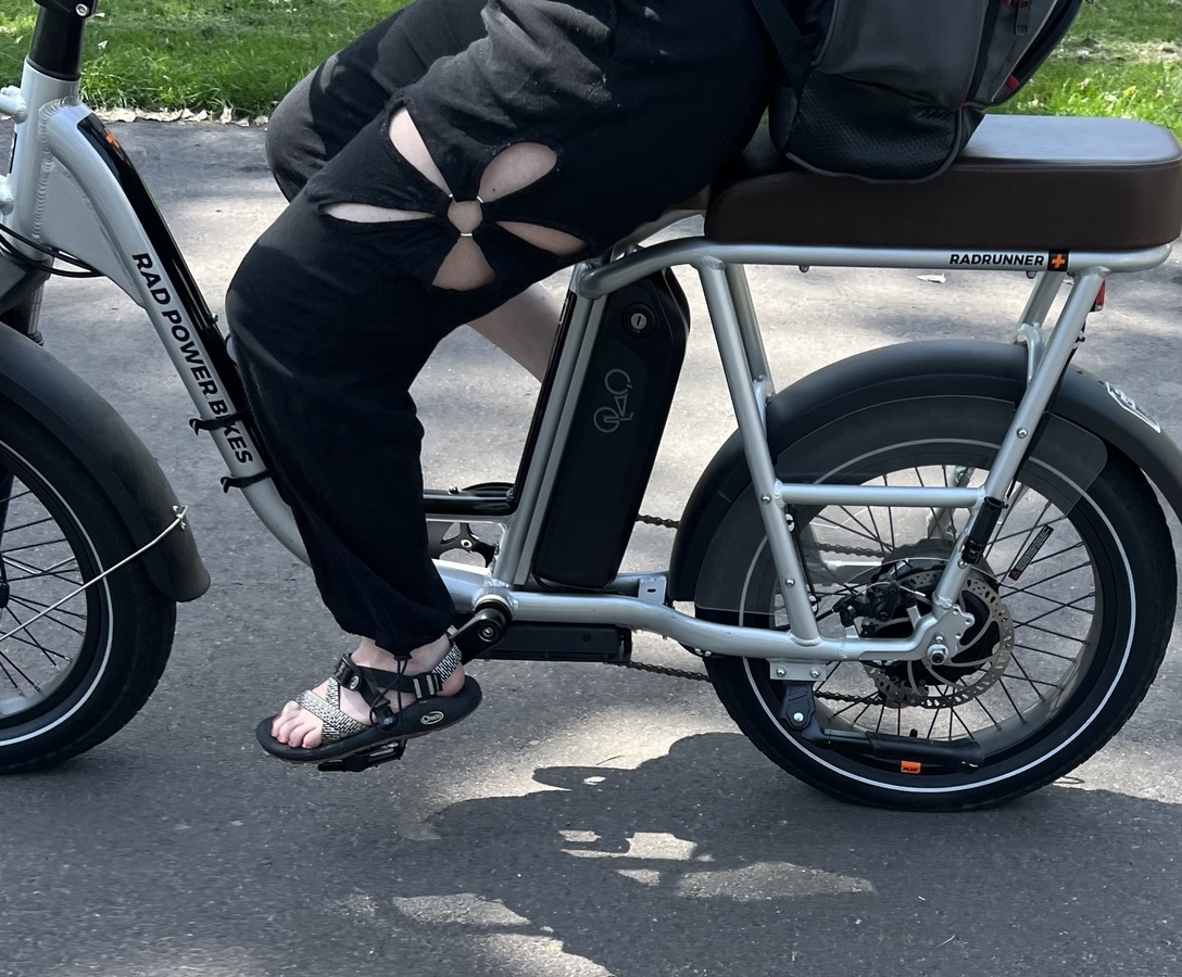 Cargo Bike Rear photo