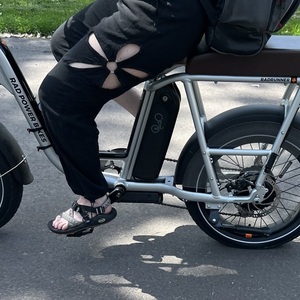 2023 Rad Power Bikes Rad Runner Plus Silver, gray or bare metal and Black