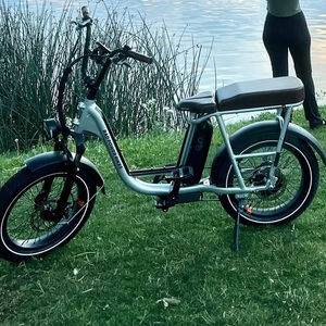 2023 Rad Power Bikes Rad Runner Plus Silver, gray or bare metal and Black