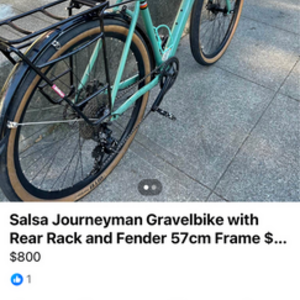2025 Salsa Green Green