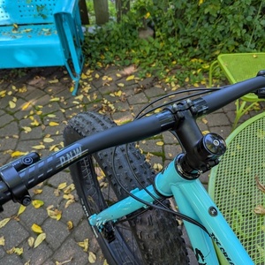 2021 Surly Ice Cream Truck Blue