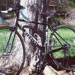 2013 Bianchi Campione Black