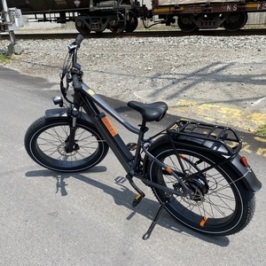 2024 Rad Power Bikes RadRover 6 Plus step over Black