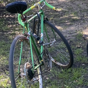 1975 Schwinn Green and Yellow or Gold