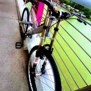 1996 Gary Fisher JOSHUA Z1 Silver, gray or bare metal