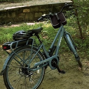 2020 Pedego City Commuter (Mid Drive) Blue
