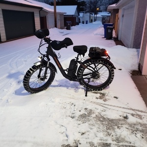 2020 Rad Power Bikes RadRover Step-thru Fat bike v.1 Black