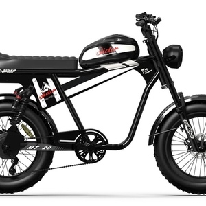 2025 Qiolor E-Bikes Tiger Plus Black, White, and Stickers tape or other cover-up