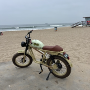 2025 Qiolor E-Bikes Tiger RE Brown and White