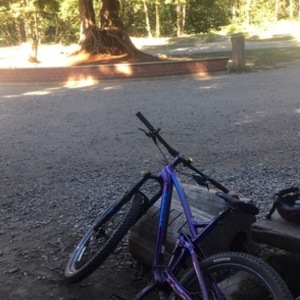 2015 Trek REMEDY 9 Purple