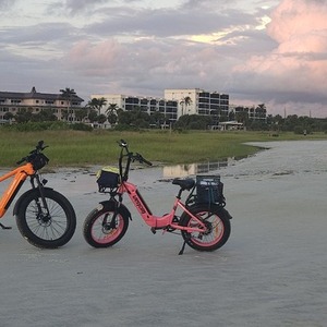 2024 VENOM Viper XP Pink and Black
