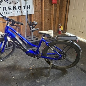 2025 Biktrix Stunner Lite 2