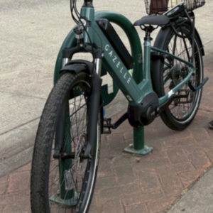 2025 Gazelle T9 City Smart System