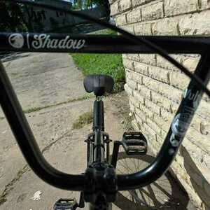 2025 Eastern Wolfdog Black