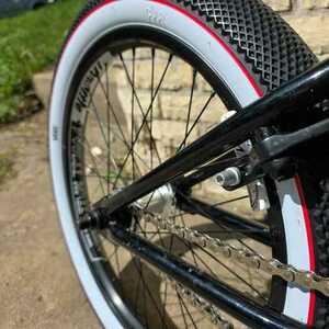 2025 Eastern Wolfdog Black