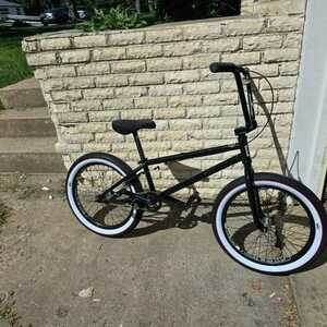 2025 Eastern Wolfdog Black