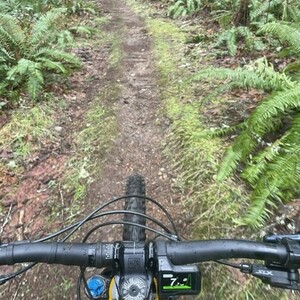 2023 Nukeproof Megawatt Yellow or Gold