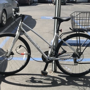 2019 Trek FX 2 Disc Women's Stagger Silver, gray or bare metal