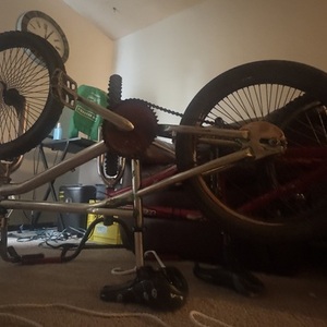 1999 GT Bicycles GT dyno frame Silver, gray or bare metal