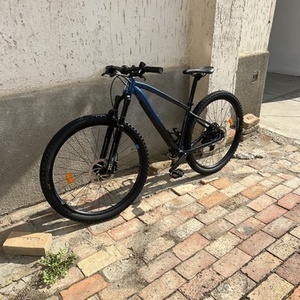 2025 Decathlon Rockrider EXLP 540 Blue and Black