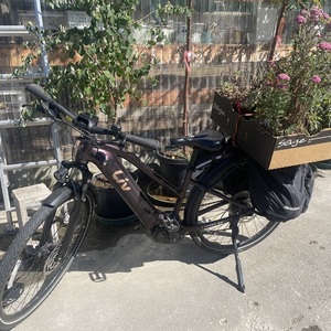 2022 Giant E7FE09446 Purple