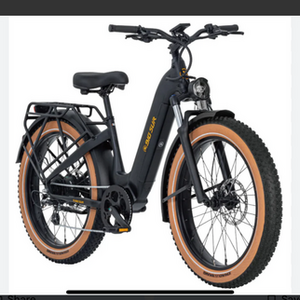 2024 AIMA E-Bike Big Sur Black and Yellow or Gold