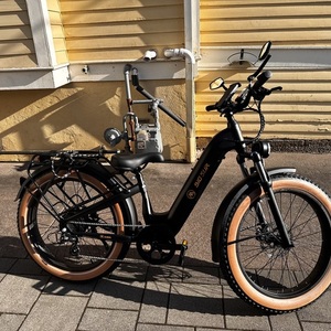 2024 AIMA E-Bike Big Sur Black and Yellow or Gold