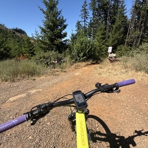 2024 Orbea Occam LT H30 Yellow or Gold