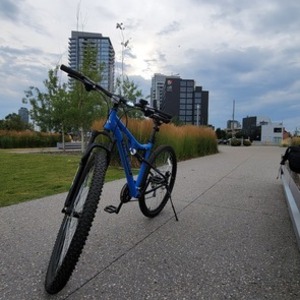 2021 Raleigh 6061Aluminium Dual Suspension Frame Blue