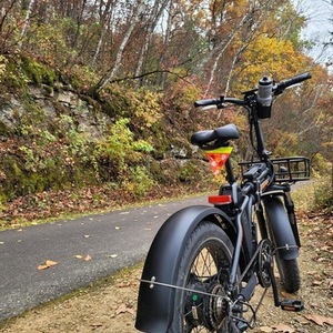 2021 Rad Power Bikes RadMini 4 Black and Orange