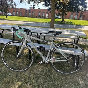 Trek Lexa S Silver, gray or bare metal