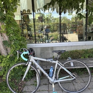 Trek Lexa S Silver, gray or bare metal