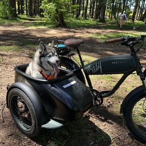 2024 Mod Bikes Easy 3 Green