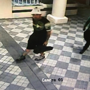 2019 Trek FX 2 Disc Women's Stagger Silver, gray or bare metal