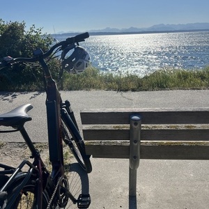 2025 Rad Power Bikes RadCity 5 Plus Purple