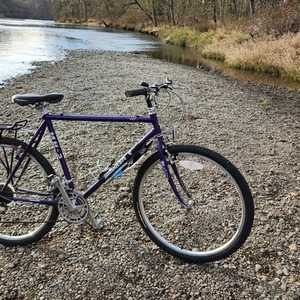 1991 Bridgestone MB-3 Purple