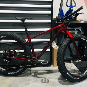 2020 Trek Farley 9.8 Red