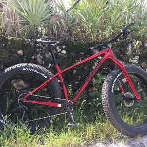 2020 Trek Farley 9.8 Red