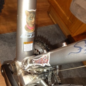 2025 Trek 4300 Silver, gray or bare metal, Blue, and Stickers tape or other cover-up