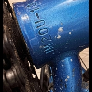 WeThePeople CURSE Blue