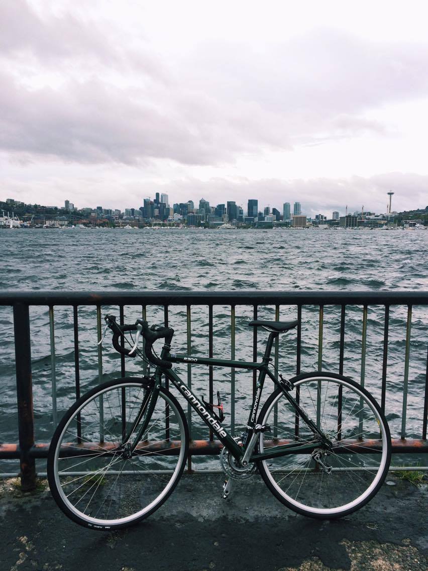 Canare R300s Cannondale R300