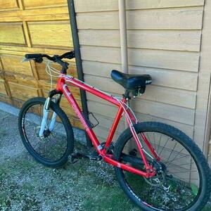 Devinci Red