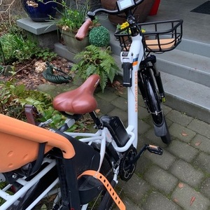 Rad Power Bikes RadCity Step-Thru 3 White